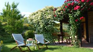 A garden outside CASETTA SELVELLA 4&1, Emma Villas