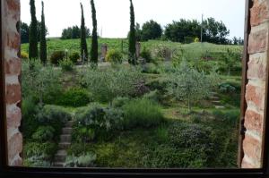 A garden outside CASETTA SELVELLA 4&1, Emma Villas