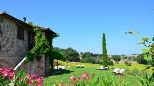 A garden outside CASETTA SELVELLA 4&1, Emma Villas