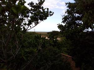 Blick auf ein Feld durch einige Bäume in der Unterkunft F2xs Guest house in Saquarema