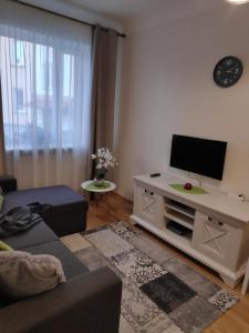 a living room with a couch and a tv on a table at Majaka Apartment in Tallinn