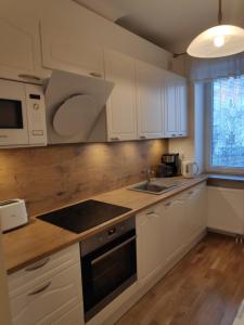 Kuchyň nebo kuchyňský kout v ubytování Majaka Apartment + 10 fotografií