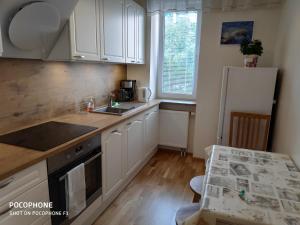 Kuchyň nebo kuchyňský kout v ubytování Majaka Apartment