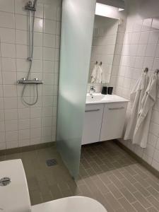 a bathroom with a shower and a sink and a toilet at Djurs Housing in Trustrup