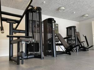 Posilňovňa alebo fitness centrum v ubytovaní Djurs Housing