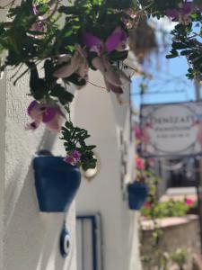 Eine Reihe von Blumentöpfen hängt an einer Wand in der Unterkunft Denizati Pension in Bodrum City