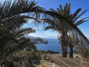 a view of the ocean from a palm tree at Case Quattrocchi in Lipari