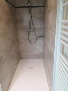 een douche met een douchekop in de badkamer bij Logement douillet neuf L'INDIAN in Dossenheim-sur-Zinsel