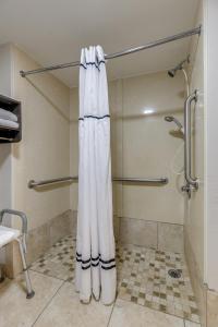 a shower with a white shower curtain in a bathroom at Alexis Inn and Suites Hotel in Nashville