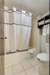 a bathroom with a shower curtain and a toilet at Alexis Inn and Suites Hotel in Nashville