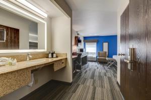 a hotel bathroom with a sink and a mirror at Alexis Inn and Suites Hotel in Nashville