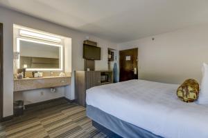 a hotel room with a large bed and a sink at Alexis Inn and Suites Hotel in Nashville