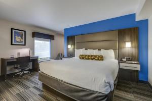 a hotel room with a large bed and a desk at Alexis Inn and Suites Hotel in Nashville