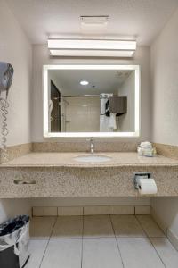 a bathroom with a sink and a large mirror at Alexis Inn and Suites Hotel in Nashville