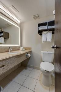 a bathroom with a toilet and a sink and a mirror at Alexis Inn and Suites Hotel in Nashville