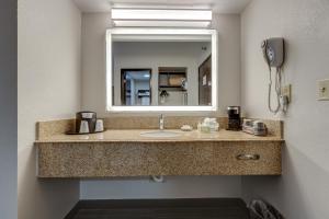 a bathroom with a sink and a mirror at Alexis Inn and Suites Hotel in Nashville