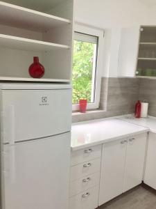 Kuchyňa alebo kuchynka v ubytovaní Flair Apartmanház