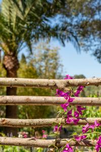 Vonkajšia záhrada v ubytovaní Agroturismo Son Fogueró - Adults Only