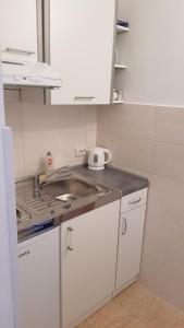 Kuchyň nebo kuchyňský kout v ubytování Apartman i sobe Martina