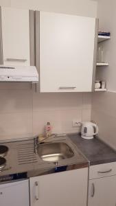 Kuchyň nebo kuchyňský kout v ubytování Apartman i sobe Martina