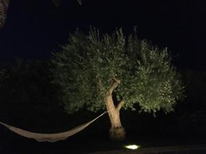 Fotografie z fotogalerie ubytování Casa Miami v destinaci Donnalucata