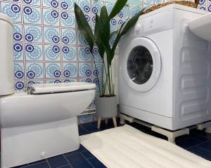 - un lave-linge dans la salle de bains pourvue de toilettes dans l'établissement Apartamento "Kanogal", à Labastida