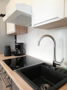 kuchnia z czarnym zlewem i blatem w obiekcie Apartment Punta Premantura E with garden w mieście Premantura