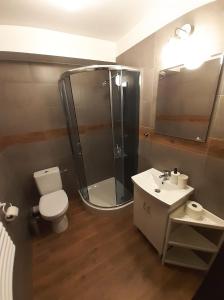 a bathroom with a shower and a toilet and a sink at Willa Czajki in Oświęcim