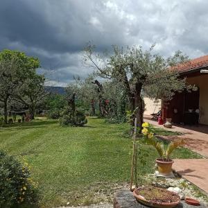 a garden with a tree in a yard at Residence Grimani in Stroncone