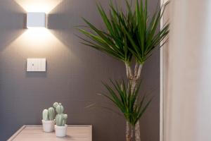 two potted plants on a table next to a wall at Oltremare in Follonica