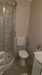 Koupelna v ubytování Apartman i sobe Martina