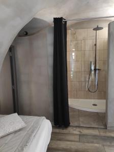 a bathroom with a shower and a bed and a tub at PARFUMU DI MACHJA in Santa-Lucia-di-Mercurio