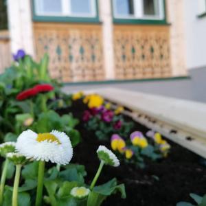 Ogród w obiekcie Ferienwohnungen Kalss nahe Altaussee