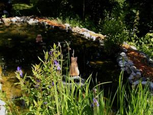 Ogród w obiekcie Haus Bodner-Scherer