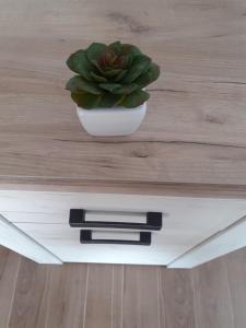Fotografia z galérie ubytovania Rózsadomb apartman v Bogácsi