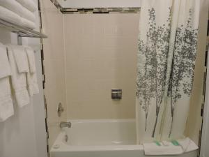 ein Bad mit einer Badewanne und einer Dusche mit einem Duschvorhang in der Unterkunft Almo Court Motel in Cranbrook