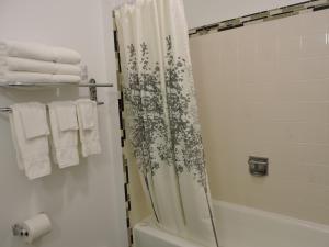 a bathroom with a white towel hanging on the wall at Almo Court Motel in Cranbrook