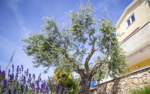 a tree in front of a building with purple flowers at Apartments Balach in Poreč