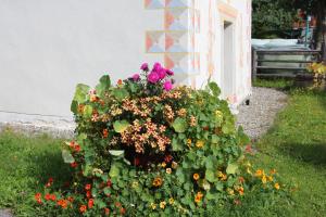 Fotografie z fotogalerie ubytování Ferienwohnung Holzergut v destinaci Sankt Andrä im Lungau