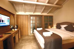 a bedroom with a bed and a flat screen tv at Castle Inn Boutique Hotel in Antalya