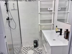 a bathroom with a shower and a sink at La villageoise in Dammartin-en-Goële