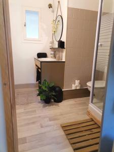 uma casa de banho com um lavatório, um WC e um espelho. em La Dolce Vita Camille em Vals-les-Bains