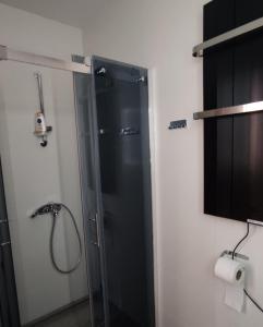 a shower with a glass door in a bathroom at Lux Apartman Lea - Vila Esla 1 in Zlatibor