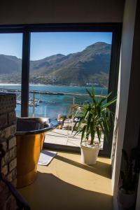 a window with a plant and a view of the water at Best Place Ever in Hout Bay