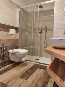 a bathroom with a shower and a toilet and a sink at Hotel Ganzaie in Daiano