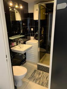 a bathroom with a toilet and a sink and a shower at Green View Kotlarska in Wrocław