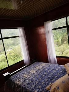 een slaapkamer met 2 ramen en een bed met blauwe lakens bij Navarro mountain in Cartago