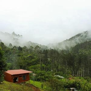 Gallery image of Navarro mountain in Cartago