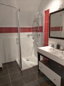 a bathroom with a shower and a sink at Le gîte des Serres in Parné-sur-Roc