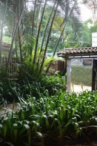 Um jardim em Pousada Paloma